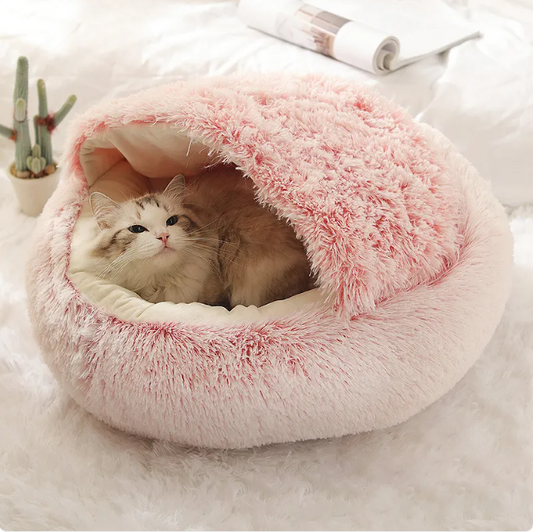Every Cat Deserves a Place That Feels Like Theirs