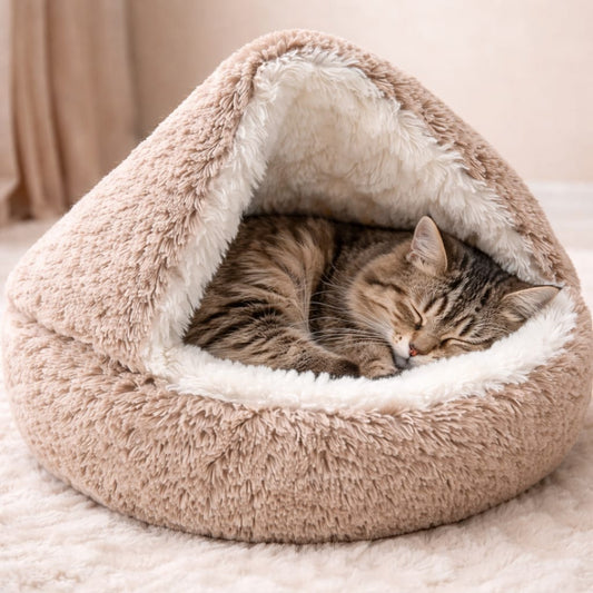 Why Every Indoor Cat Needs a Cozy Hideaway
