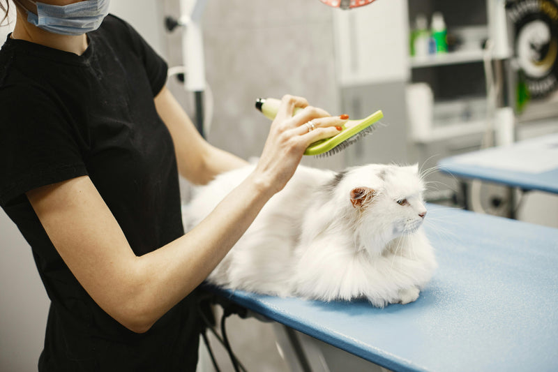 Grooming