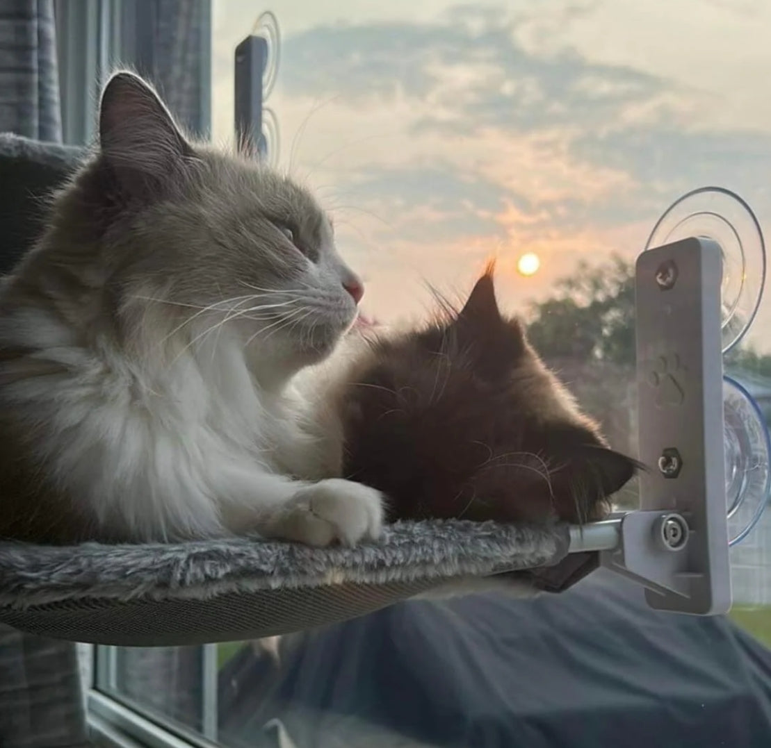 PURRLIT ™ Cat Window Lounge
