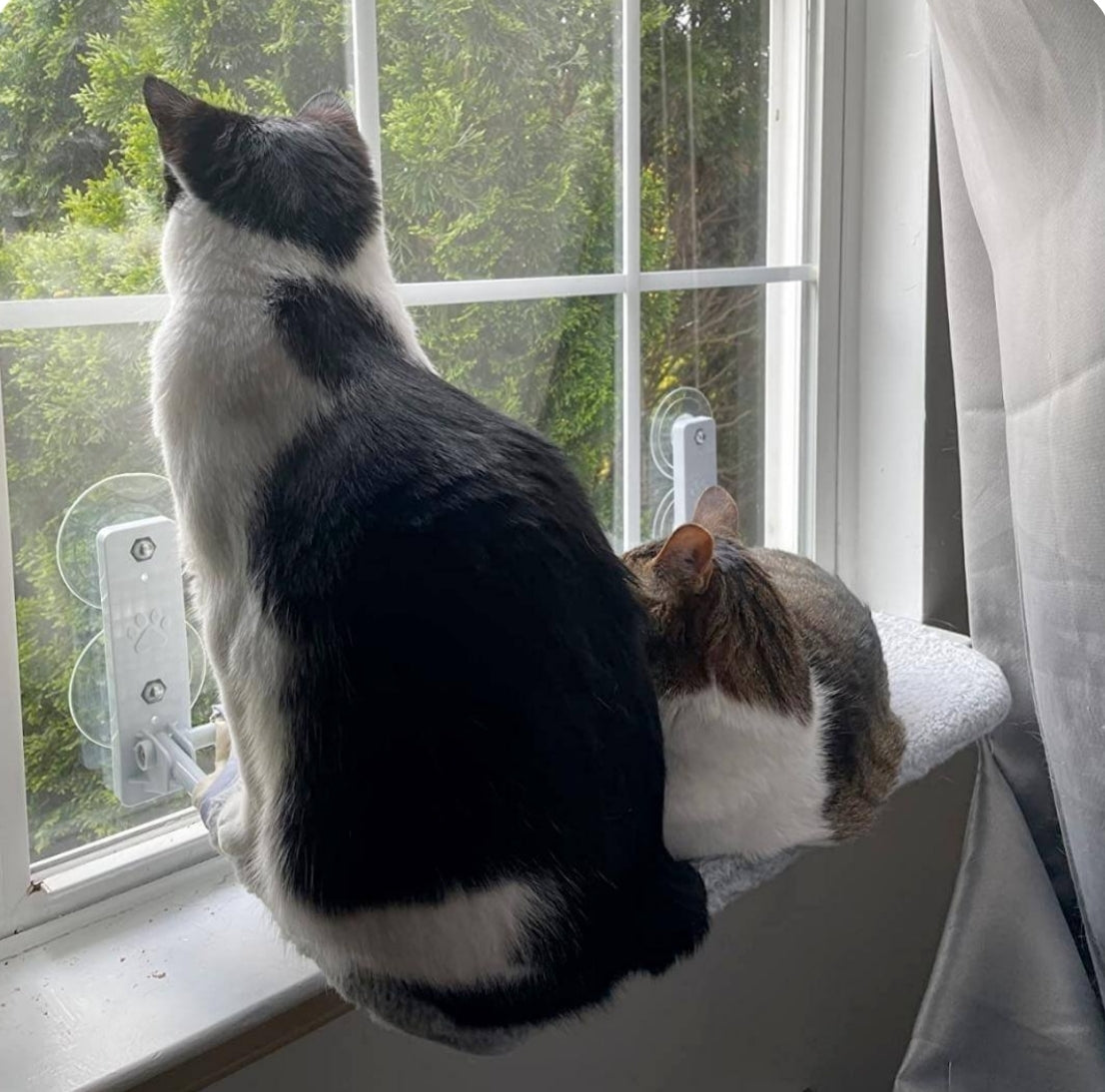 PURRLIT ™ Cat Window Lounge