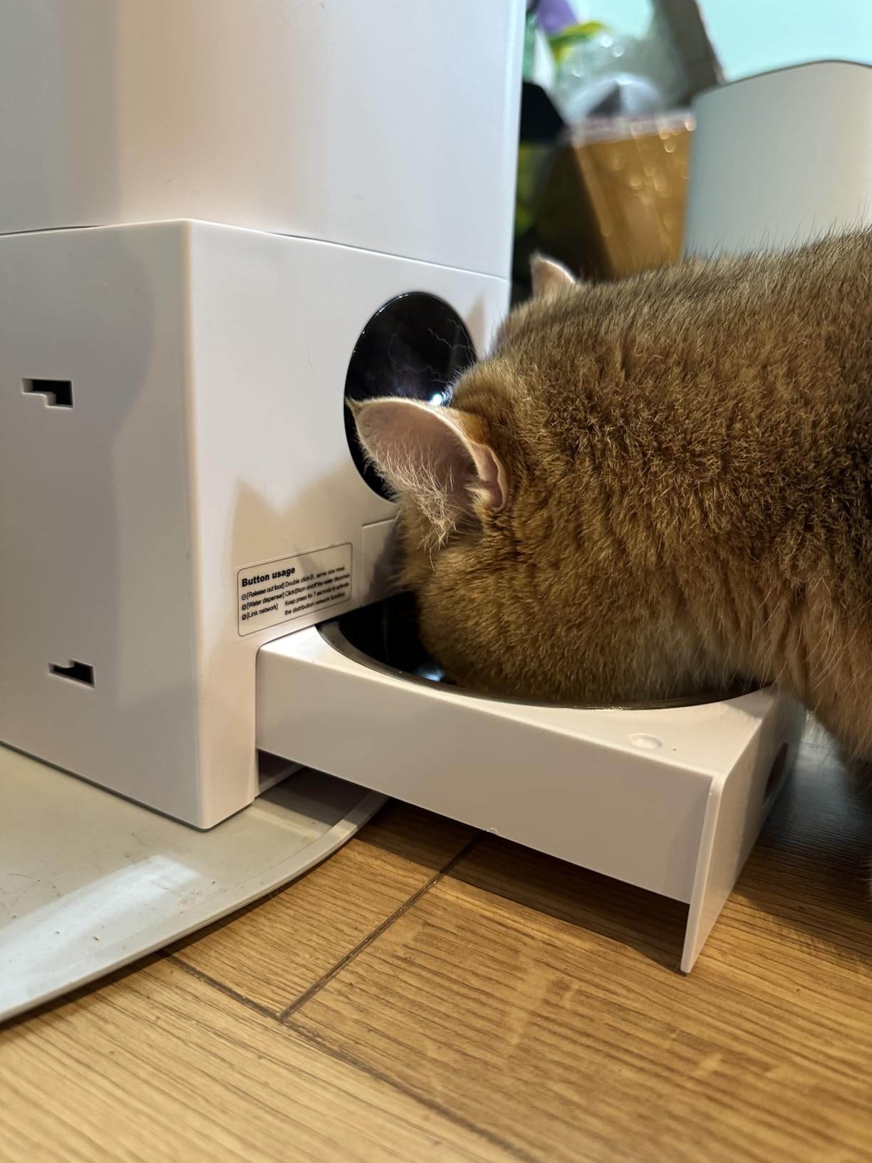 SmartServe PetStation: Dual 5GHz & 2.4GHz Wi-Fi Pet Feeder