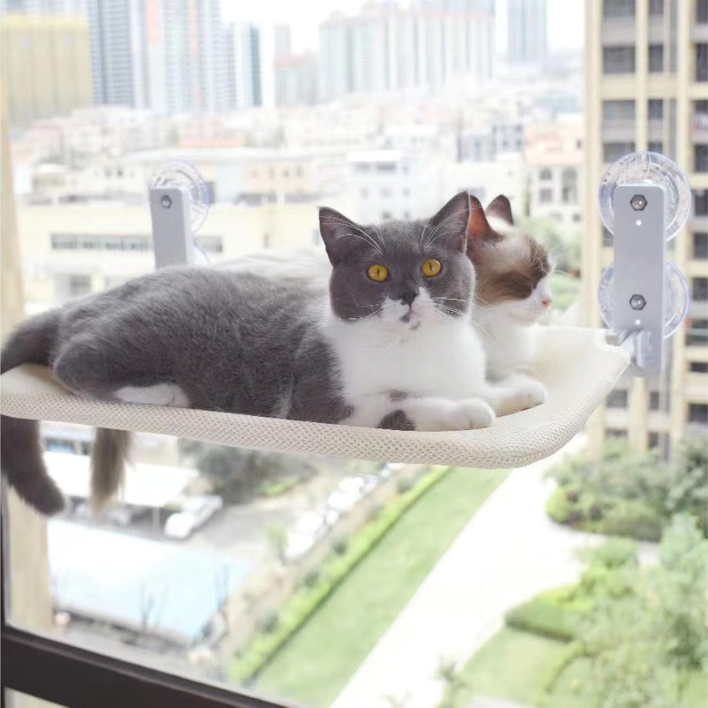 PURRLIT ™ Cat Window Lounge
