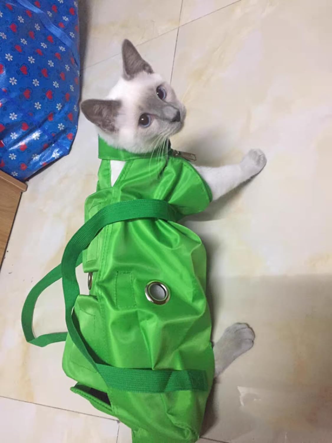 Cat Carrier & Grooming Bag