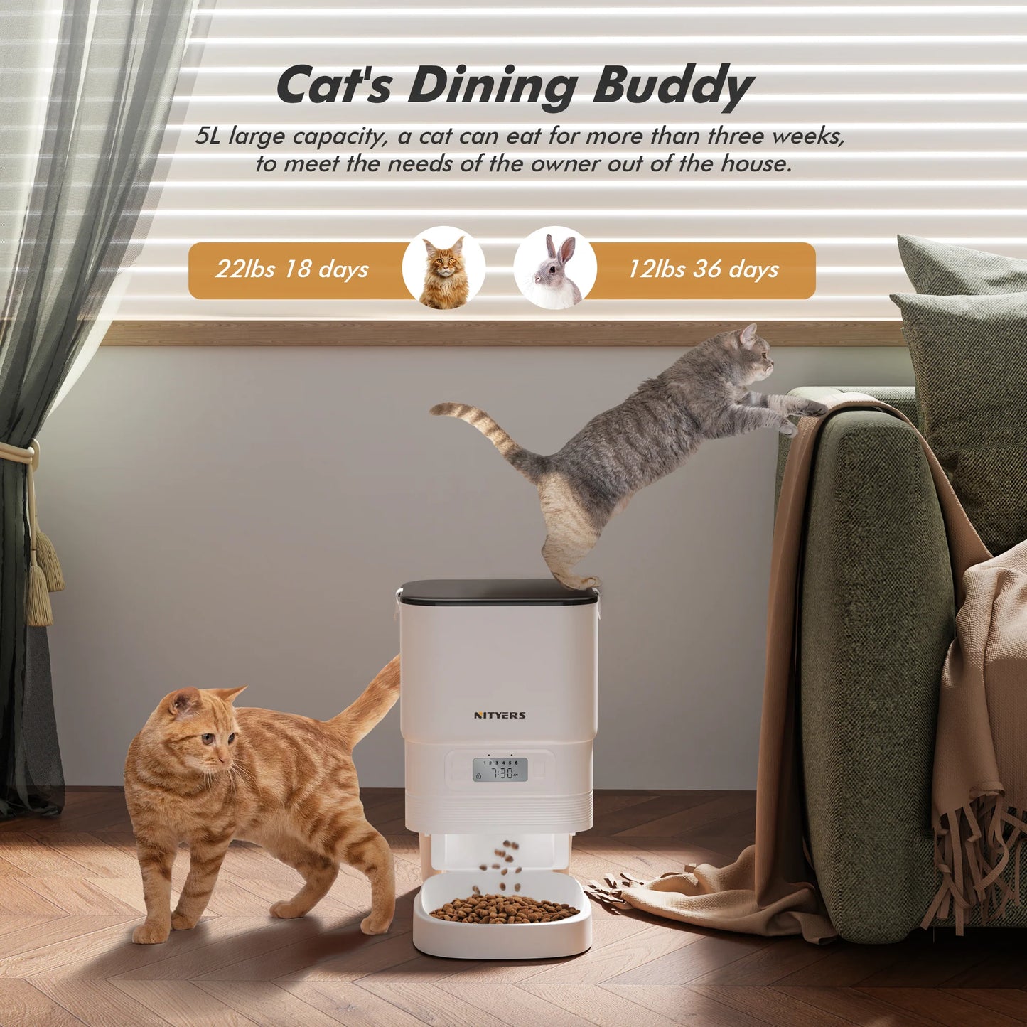 Automatic Cat Feeder 5L - Smart Pet Meal Dispenser for Cats