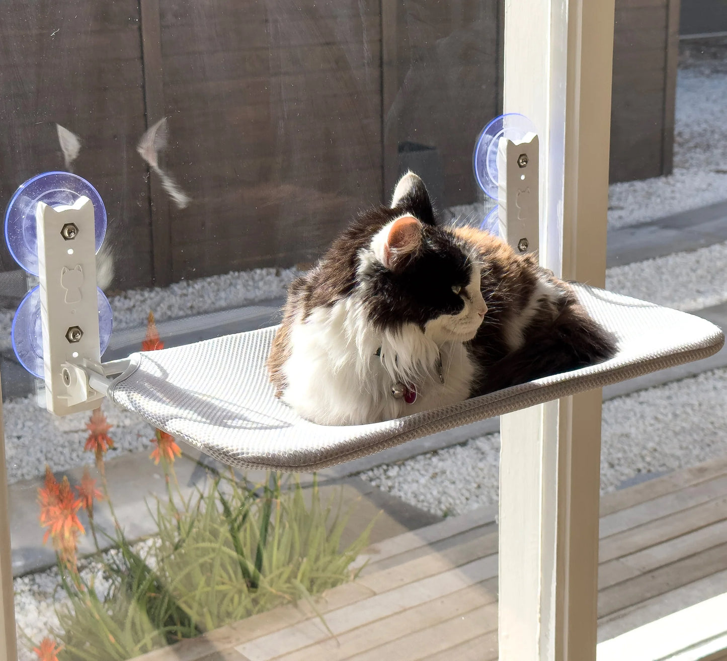 PURRLIT ™ Cat Window Lounge