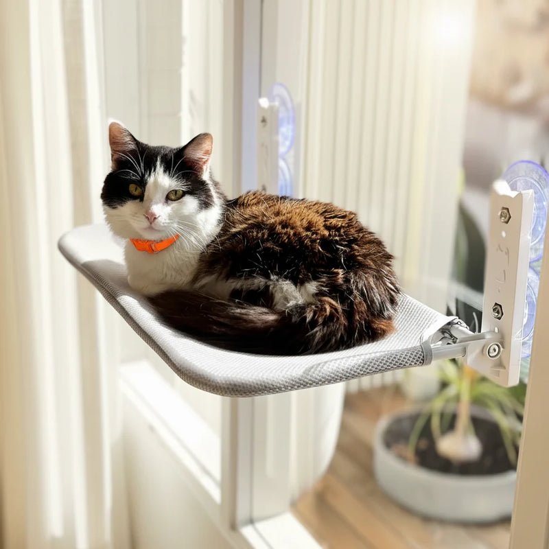 PURRLIT ™ Cat Window Lounge