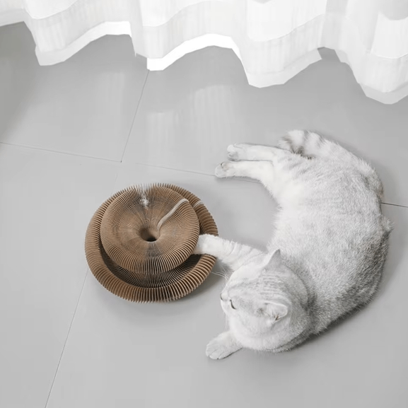 Accordion Style Foldable Interactive Cat Toy