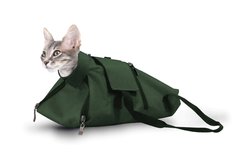 Cat inside a green bag on a white background